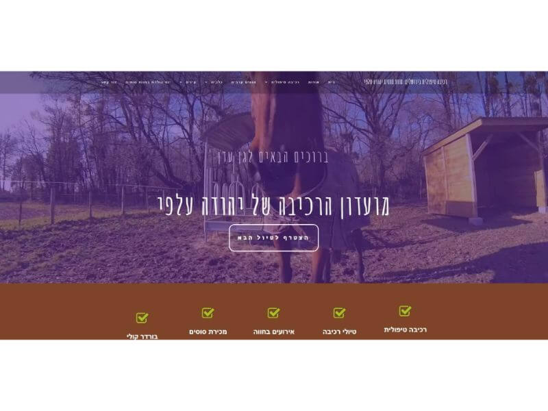 עיצוב ובניית אתרים לעסקים 26 Image