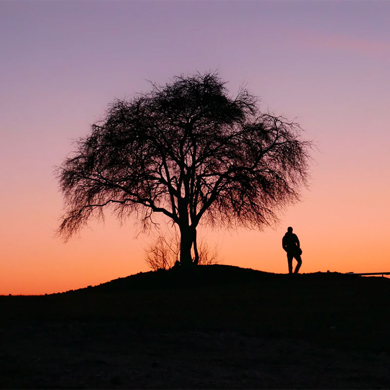 happy-tree