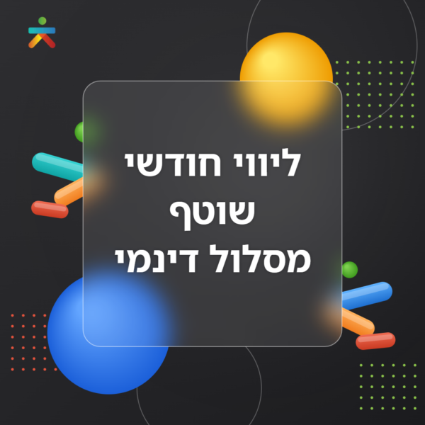 ליווי חודשי שוטף – מסלול דינמי